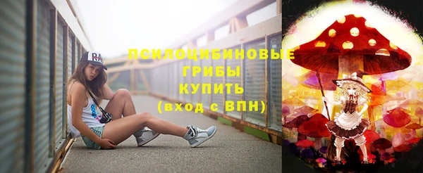 кристаллы Гусев