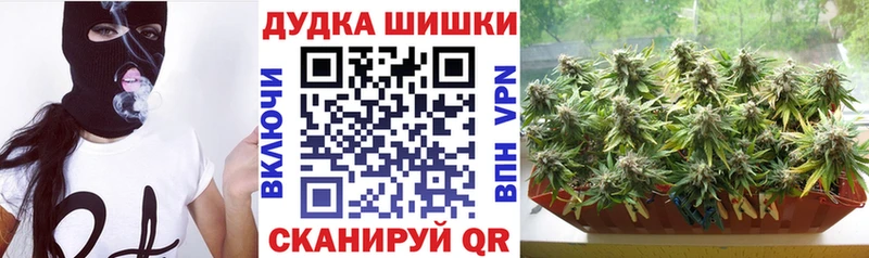 Каннабис Amnesia OMG сайт Приозерск